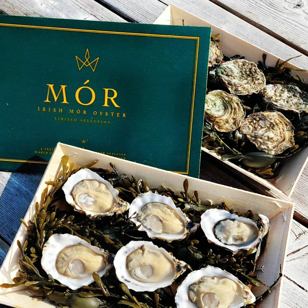 480841125_942639641397817_3727120922292845472_n